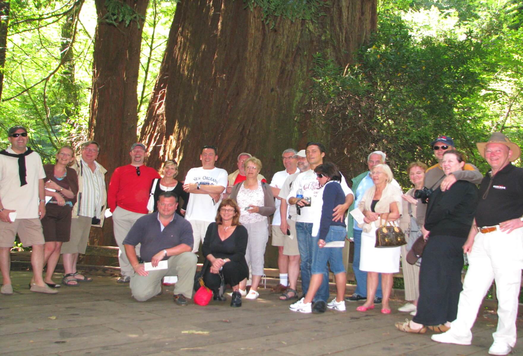 Group bus tour to muir woods from san francisco transportation sfo